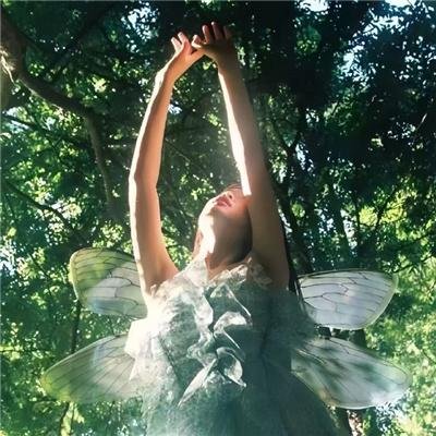 世界:新吉普赛之王